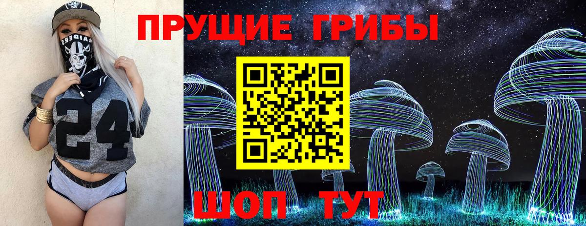 Псилоцибиновые грибы MAGIC MUSHROOMS  Вход с VPN  Псков 