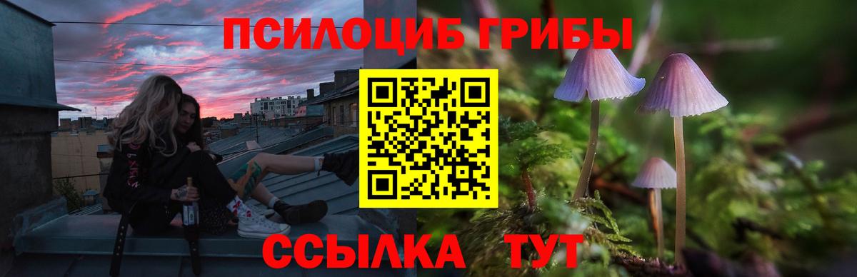 НБОМе Псков